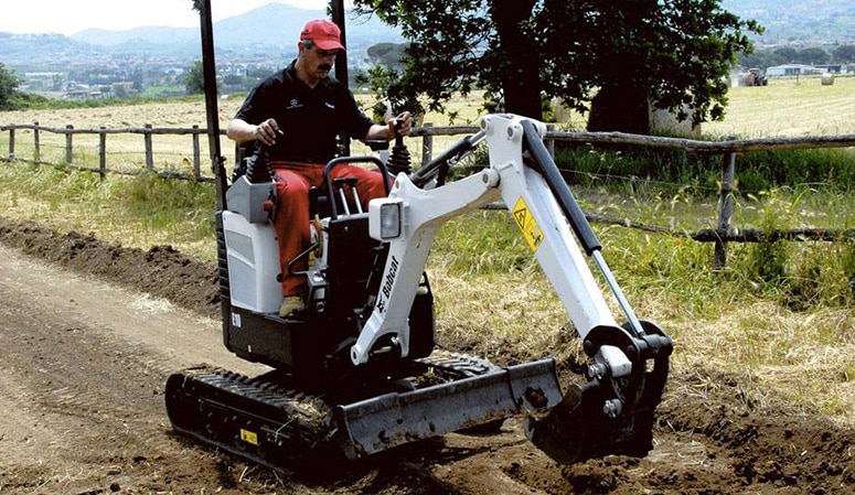Bobcat