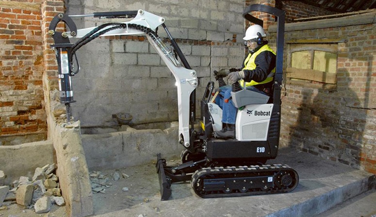 Bobcat