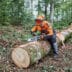 STIHL_Rapid_Hexa_Anwendung