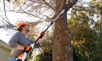 STIHL_HTA_50_Anwendung