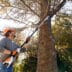 STIHL_HTA_50_Anwendung