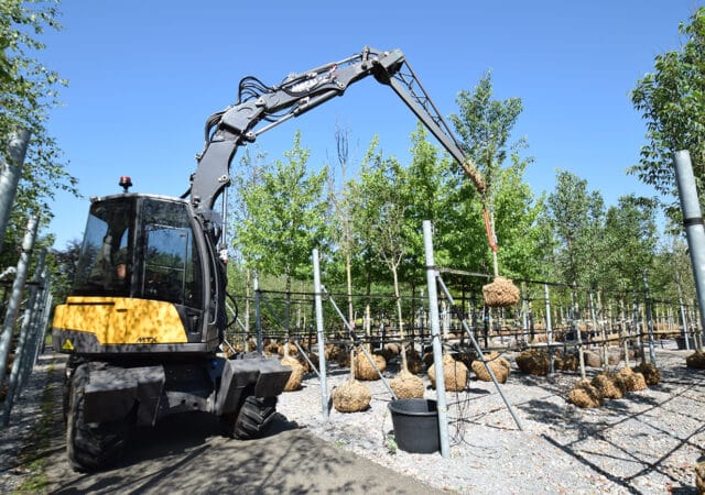 Mecalac_12MTX_0834