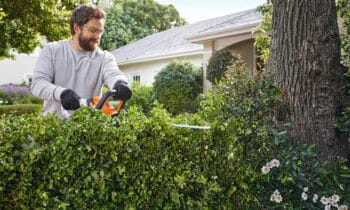 Een verzorgde heg in een handomdraai 12