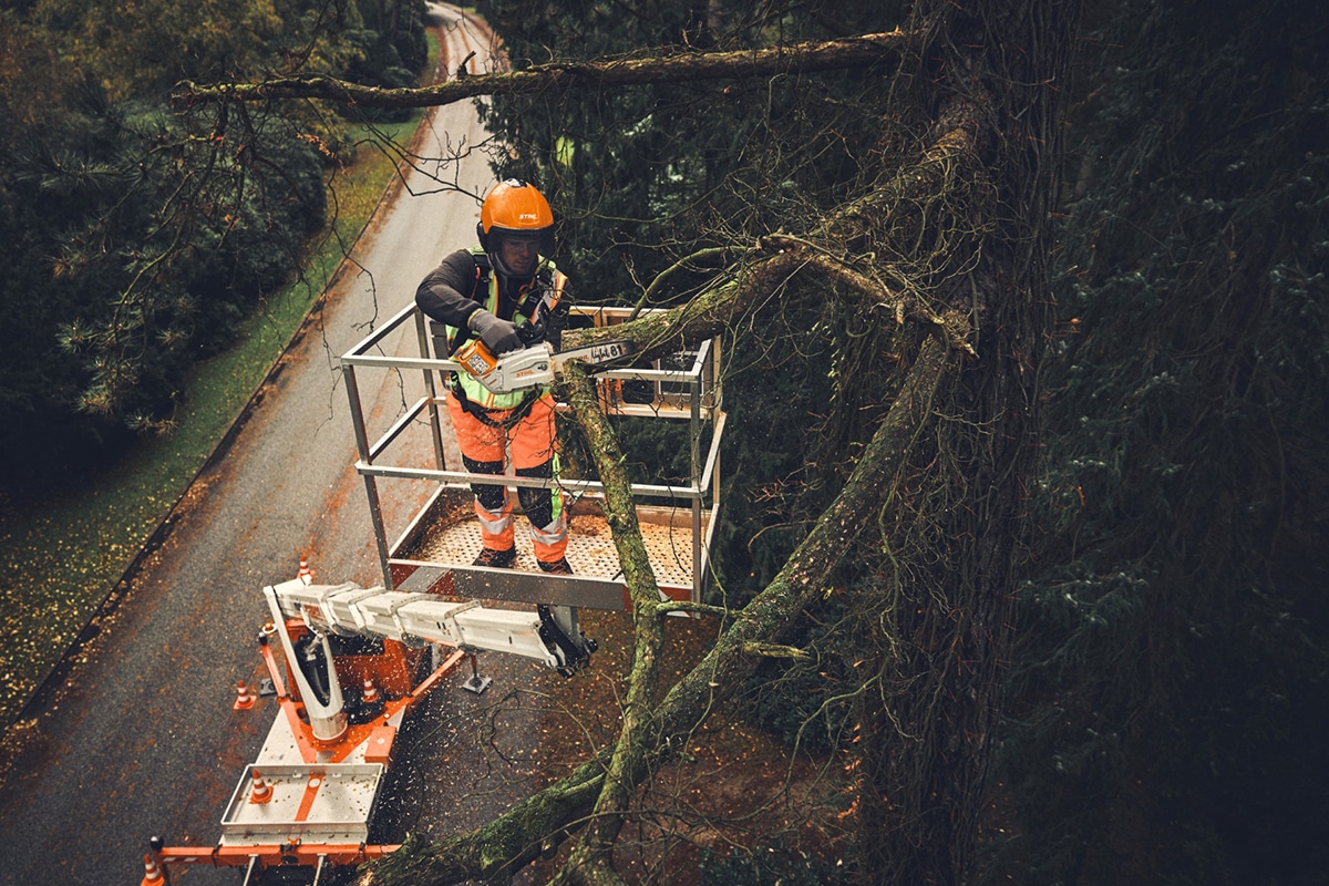 STIHL MSA 190 T accukettingzaag voor boomverzorging 1